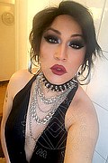 Padova - Venezia - Mestre - Rovigo - Vicenza - Treviso Trans Lady B 340 83 17 576 foto selfie 2