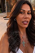 Milano Trans Graziella Toledo Pornostar 346 58 92 731 foto selfie 5