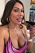 Milano Trans Graziella Toledo Pornostar 346 58 92 731 foto selfie 3