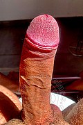 Brescia Boys Arthur Ferraz 352 23 53 262 foto selfie 15