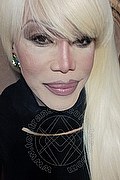 Milano Trans Escort Nicole Vip Venturiny 353 35 38 868 foto selfie 14