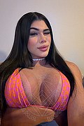 Milano Trans Escort Isadora Reys  0033780891825 foto selfie 14