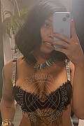Napoli Trans Ninfetta Geovanna 380 15 95 287 foto selfie 1