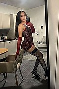 Bologna Trans Escort Victoria New 339 43 37 857 foto selfie 2