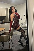 Bologna Trans Victoria New 339 43 37 857 foto selfie 3