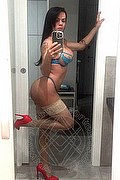 Gallarate Trans Escort Carolina Hott 344 40 18 842 foto selfie 7