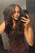 Bologna Trans Victoria New 339 43 37 857 foto selfie 1