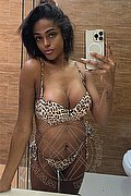Milano Trans Escort Bruna Ferragni 338 29 20 655 foto selfie 18