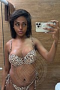 Milano Trans Escort Bruna Ferragni 338 29 20 655 foto selfie 10