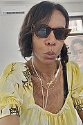 Roma Trans Greta 334 31 91 923 foto selfie 10
