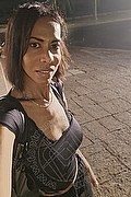 Roma Trans Escort Greta 334 31 91 923 foto selfie 11
