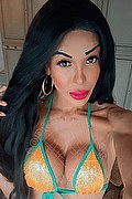 Brescia Trans Wanessa Ambrosio 351 80 69 231 foto selfie 1