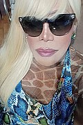 Milano Trans Nicole Vip Venturiny 353 35 38 868 foto selfie 5