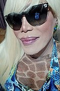 Milano Trans Escort Nicole Vip Venturiny 353 35 38 868 foto selfie 7