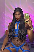 Roma Trans Escort Bruna Miller 350 95 22 141 foto selfie 2