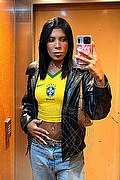 Livorno Trans Escort Thais 393 01 95 894 foto selfie 5