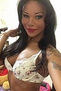 La Spezia Trans Niki 380 14 82 833 foto selfie 34