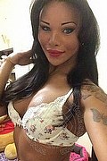 La Spezia Trans Escort Niki 380 14 82 833 foto selfie 35